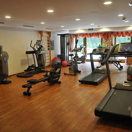 Hotel Alpinhotel Berghaus Tux