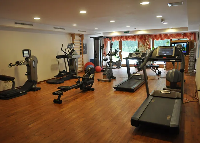 Hotell Alpinhotel Berghaus Tux