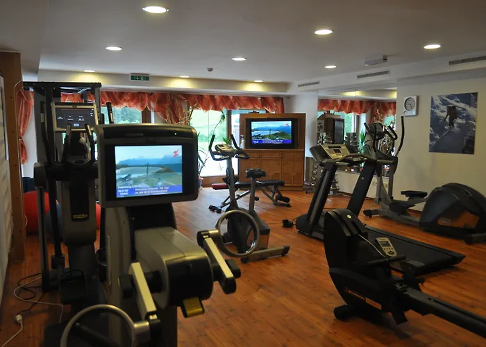 Hotell Alpinhotel Berghaus 4*